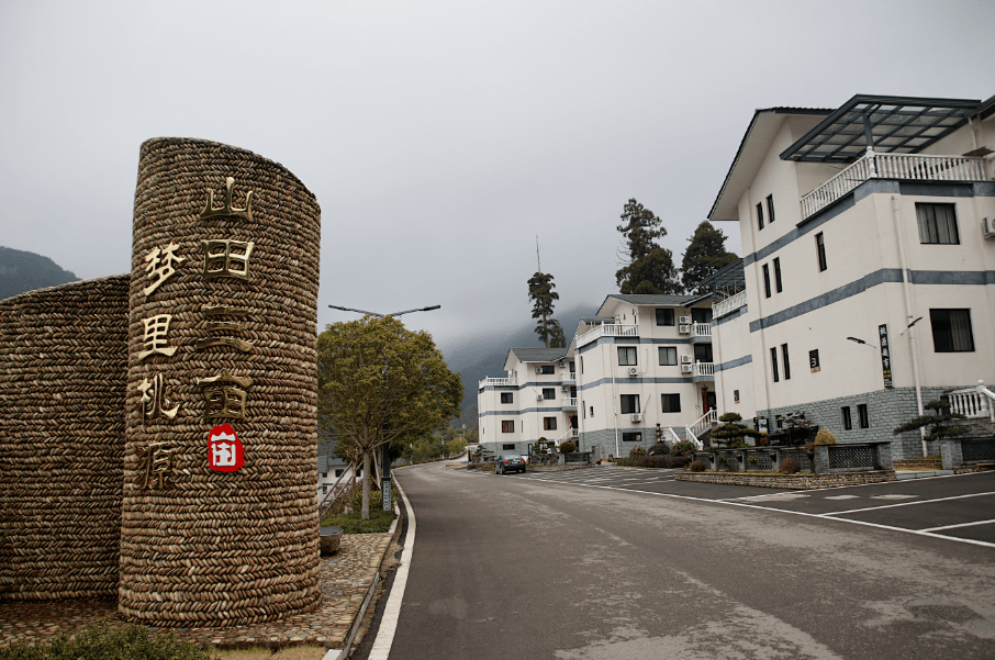 在四好农村路上看见金华乡村走向共同富裕