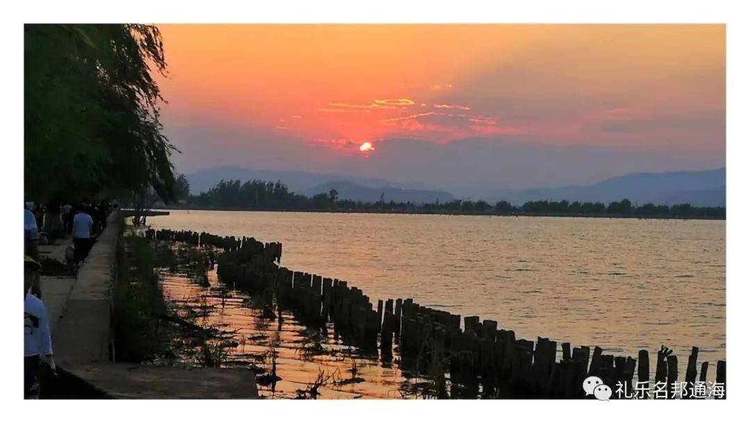 通海全力治理杞麓湖