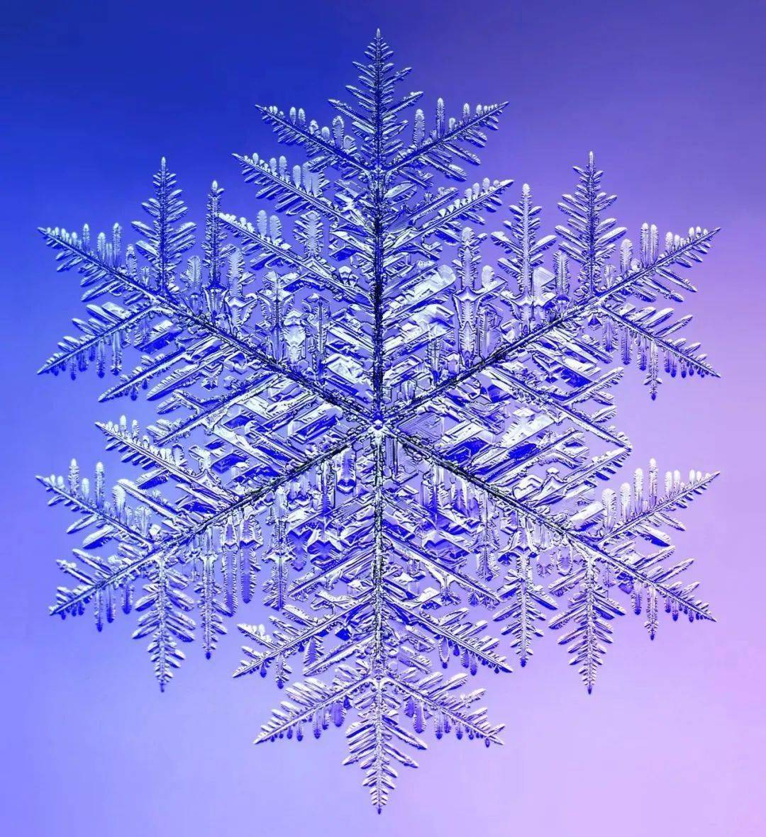 他拍下世界最美68张照片,罕见三角形雪花曝光,8万人痴狂:宇宙终极奥秘