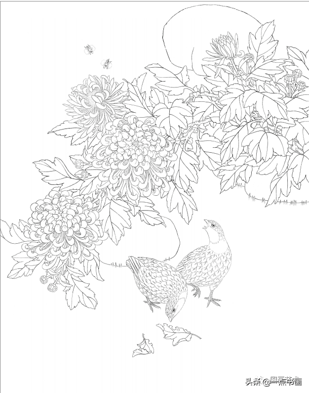 工笔花鸟画教程详细步骤 82c4a78cf0f141b5a2c721716e61921f.png