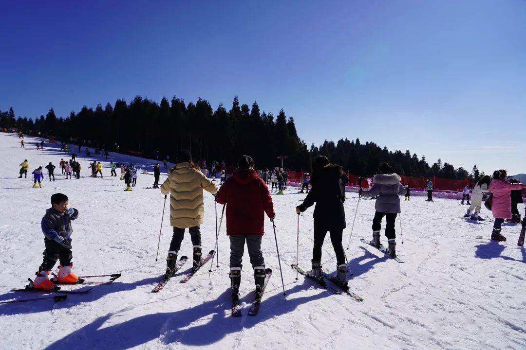 月季公园滑雪场图片