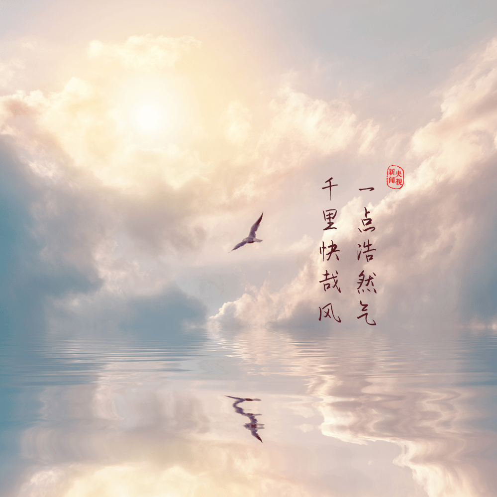 烟雨任|苏东坡，生辰快乐！