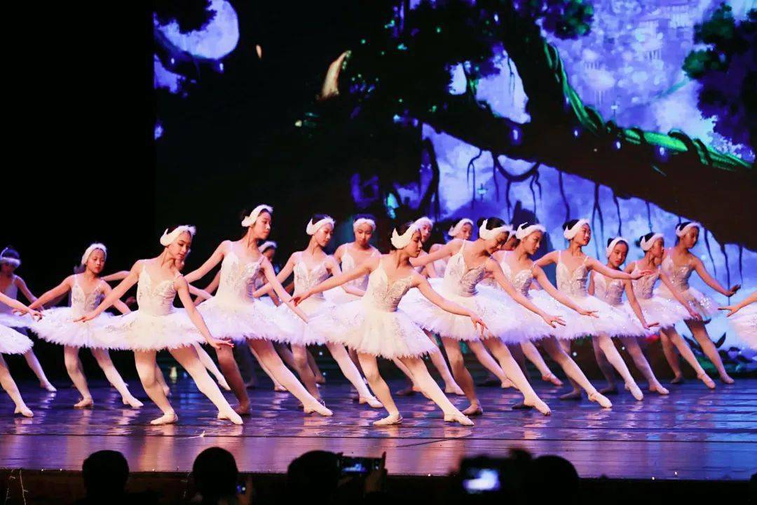 限时招新东艺少儿芭蕾舞团2022春季报名正式启动