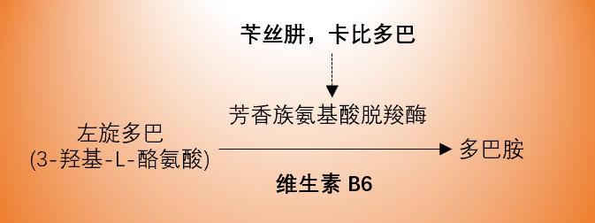 多巴絲肼,卡左雙多巴可與維生素b6合用主要是因為:脫羧酶抑制劑(苄絲