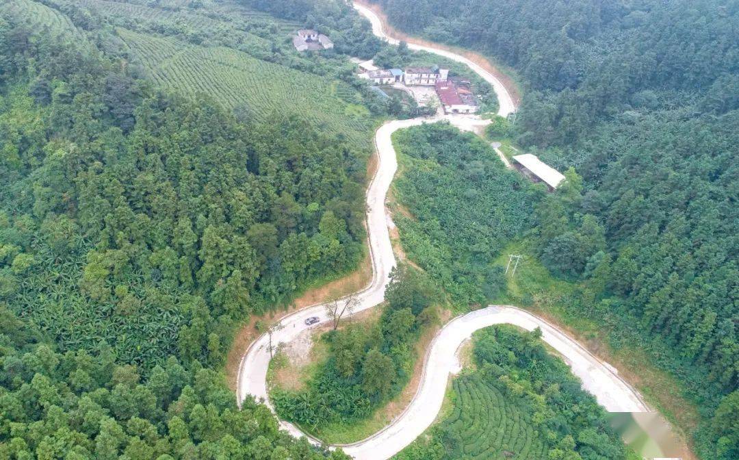 前往平天山國家森林公園又多一條路啦~港北區石牛水庫至平天山公路