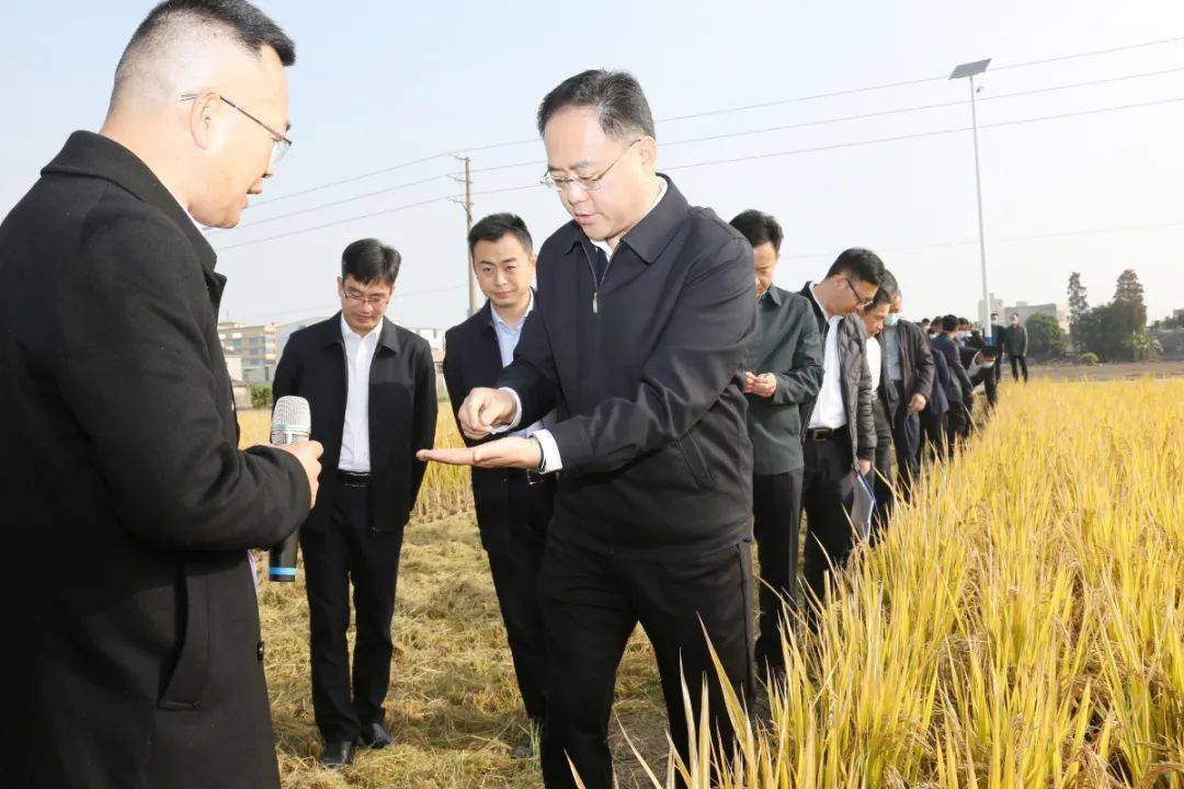 在市委书记何晓军,市长何广延的带领下,与会人员深入田间地头,先后