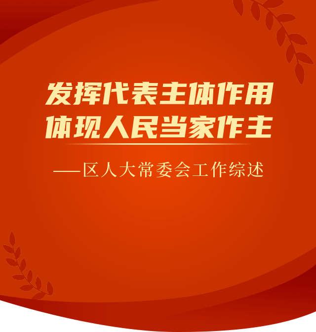 工作回顾发挥代表主体作用体现人民当家作主区人大常委会代表工作综述