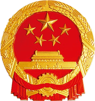 工作_全镇_政府