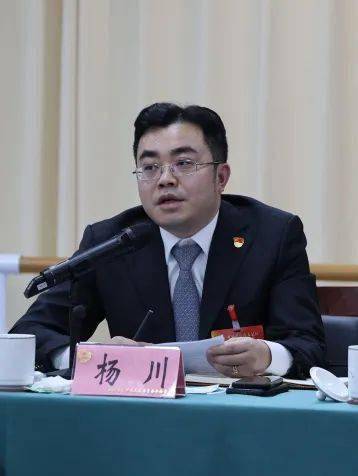 陈一清参加区政协三届一次会议联组协商_发展_大足_企业