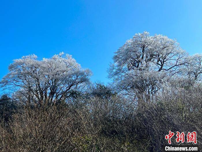 杆洞乡|广西北部深山出现一片彩色雪原