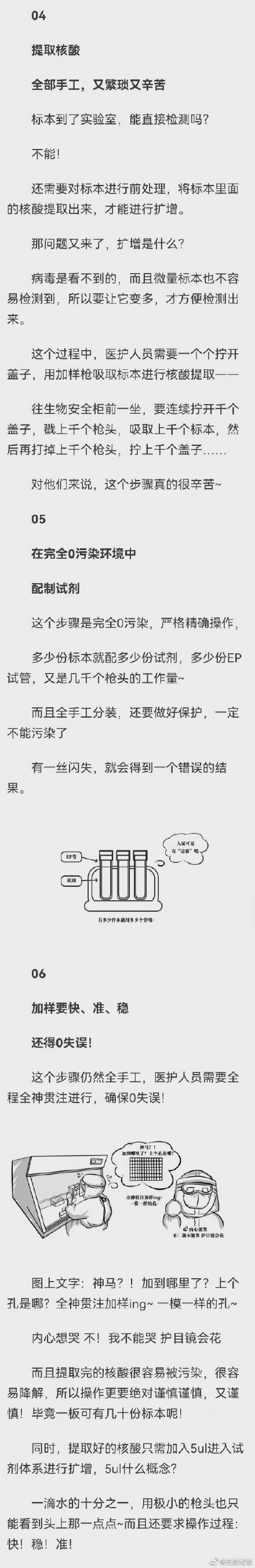 小伙伴|一张核酸检测报告是这样出炉的！