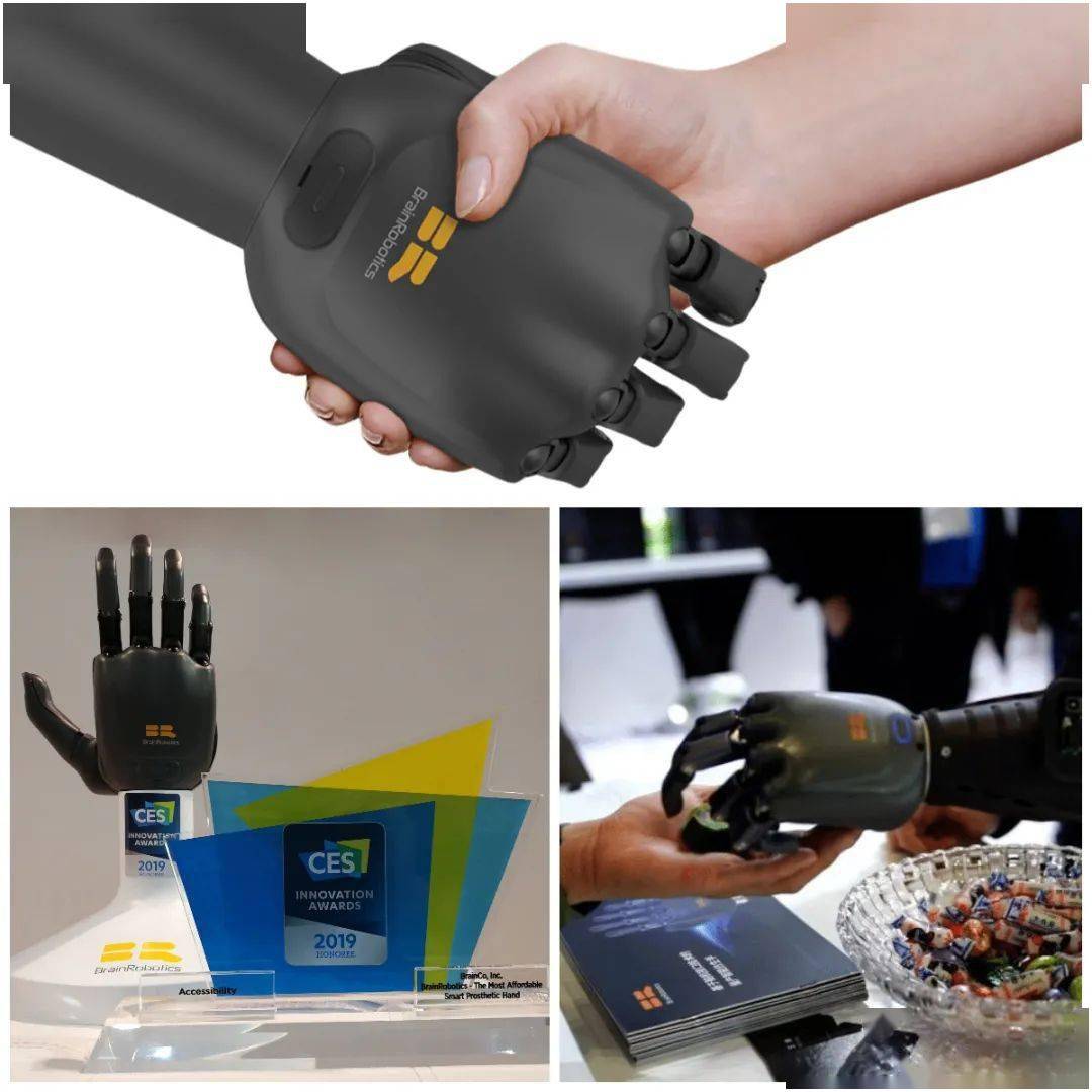 学科停船后的第一个寒假，“脑机接口”能否成为科技素质教育的后起之秀？