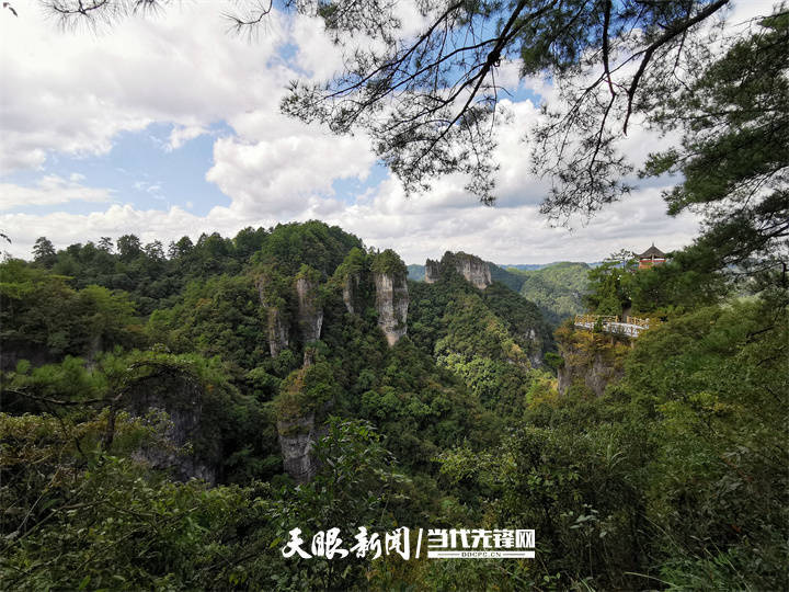 山河|贵州持续打造国家级“生态名片” 饱蘸绿意绘山河