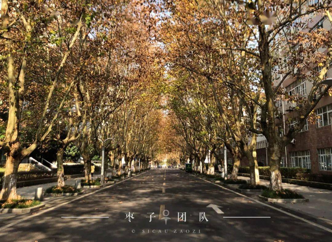 川农人均不止一套皮肤