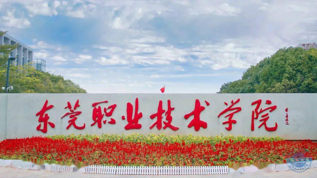 专插本重磅这所大学招生改变无数同学命运