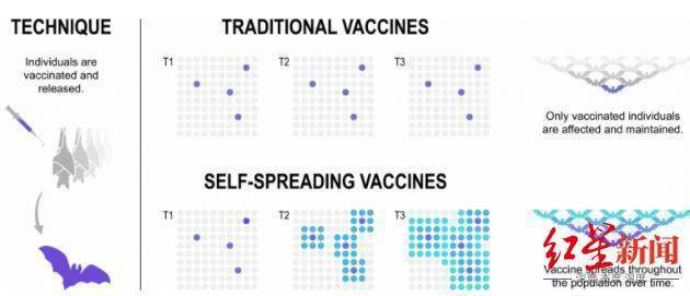 多国科学家警告：美欧生物实验室正制造可自我传播病毒，或造成“不可逆后果”