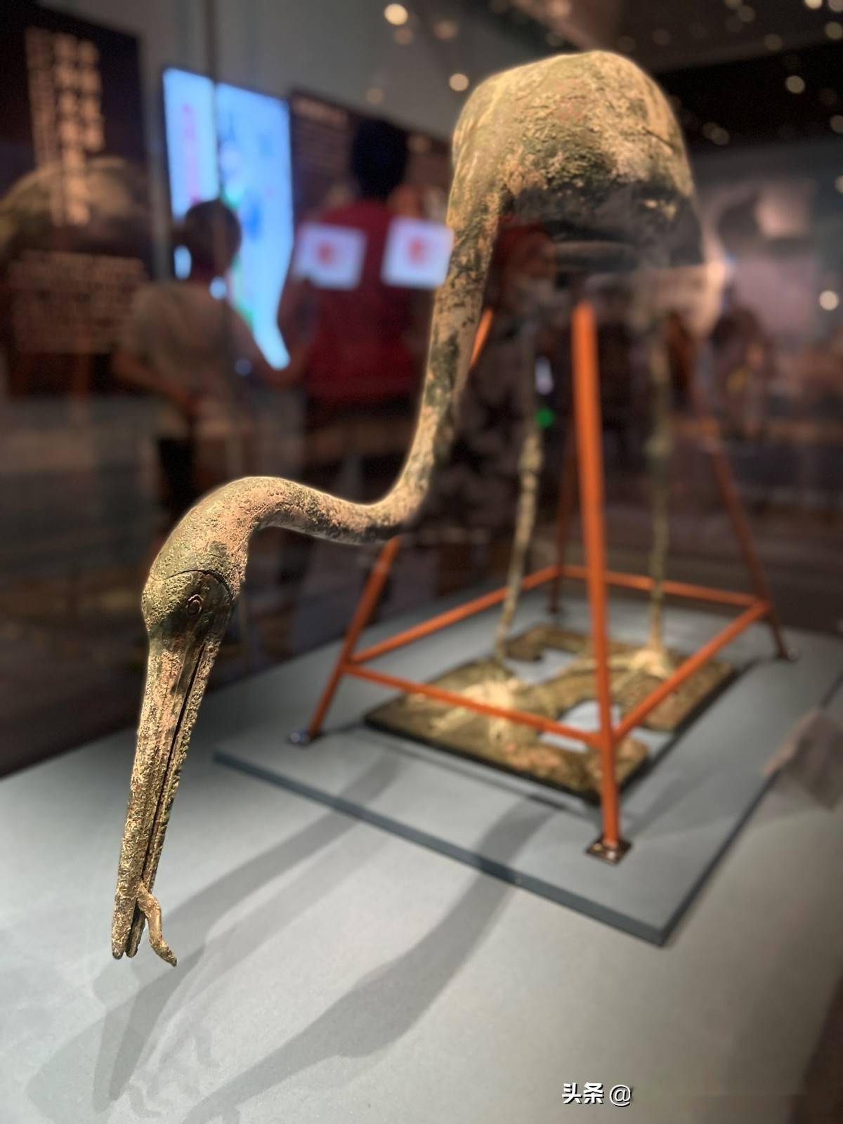 首博:秦始皇钟爱的仙鹤修好了_水禽_青铜_秦代