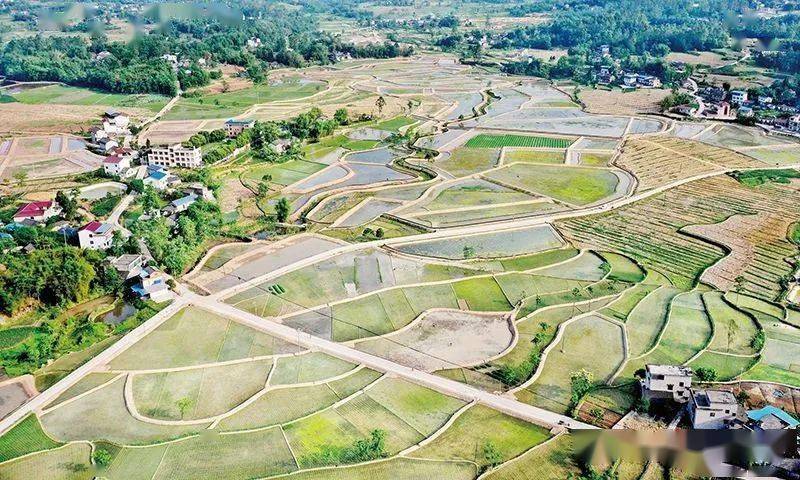 加强高标准农田建设 端牢中国饭碗_耕地_农业_质量