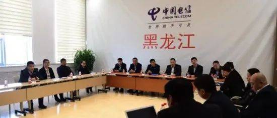 中国电信北方某省公司新添副总李磊 早就猜到会是他_黑龙江_管理层_能力
