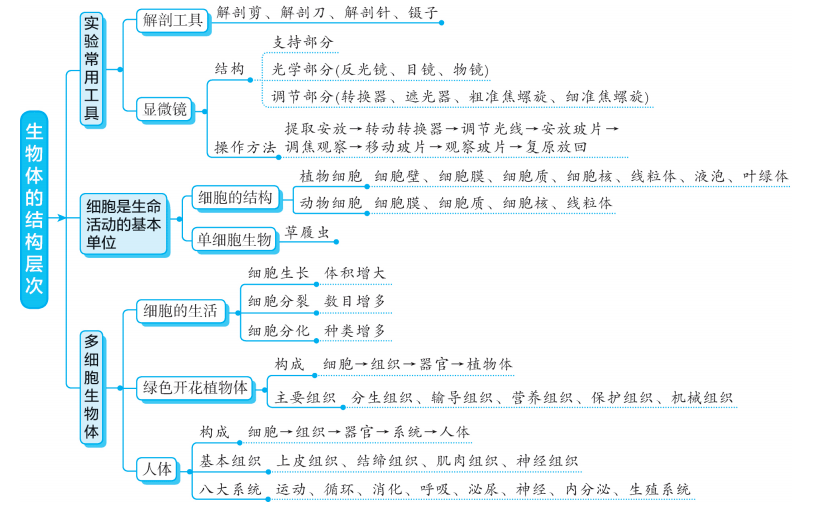 阅读文章|初中生物各专题知识梳理思维导图大汇总，预习复习都适用！