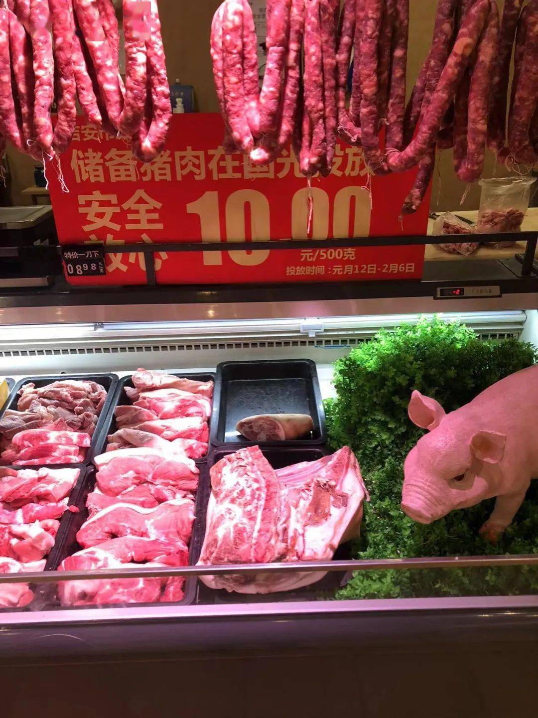 10元/斤！江西一地今起投放储备冻猪肉