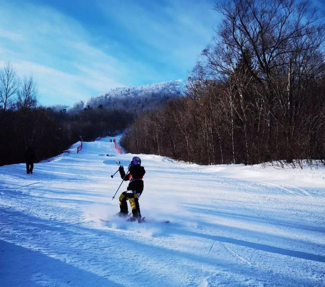 【2022省運會喜報】鶴崗市代表隊繼續摘金奪銀!_比賽_滑雪_技巧