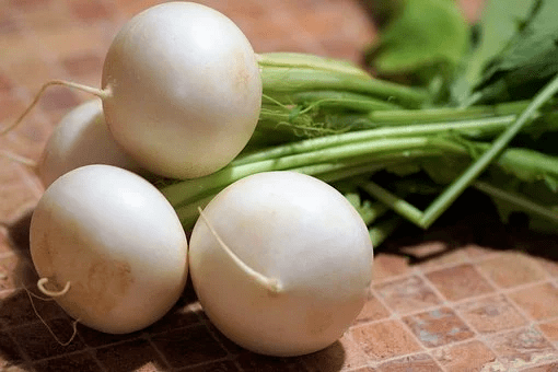 1e06afdb753946a18c3c0ecda9ededda.png