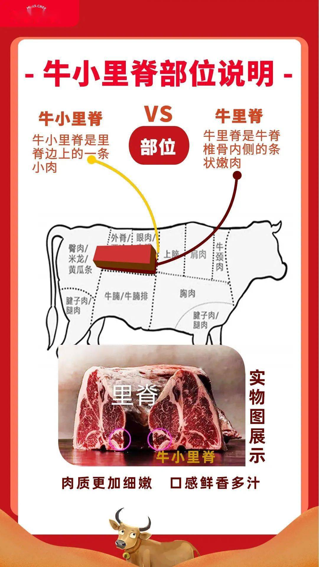 里脊肉的位置图片图片