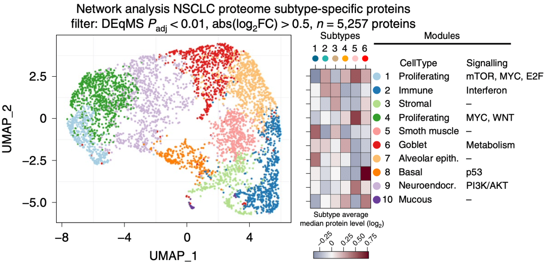 团队|《自然·癌症》：六个蛋白组亚型，道出肺癌免疫逃逸之谜
