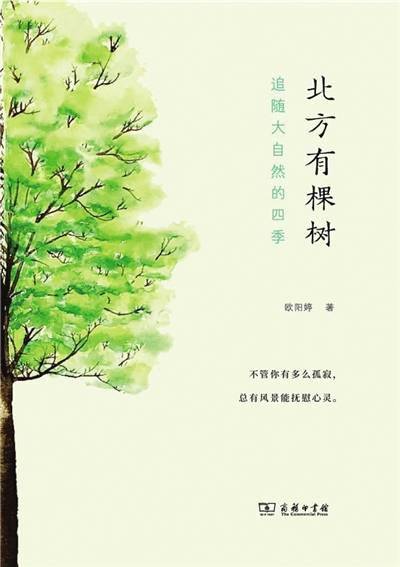 麦哲伦|《北方有棵树》：围绕树的麦哲伦之旅