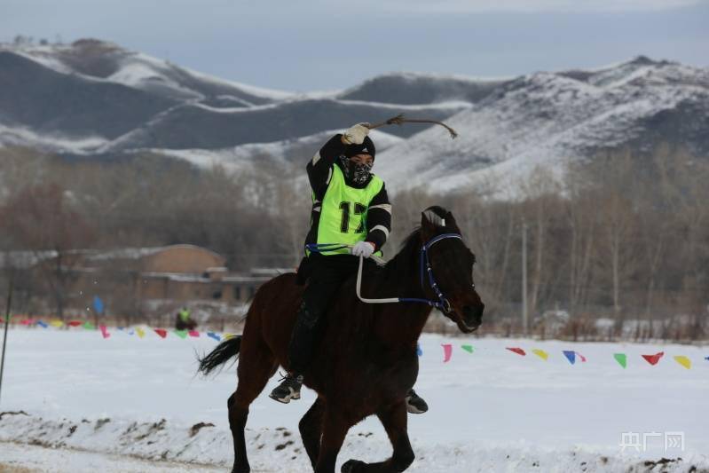 阿勒泰市|相约雪都 喜迎冬奥|新疆阿勒泰赛马火热开赛 助力冬奥