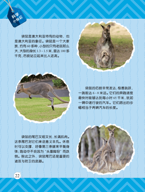 【科普绘本】4大领域32个主题，用精美的故事图画和音频培养小小科学家！