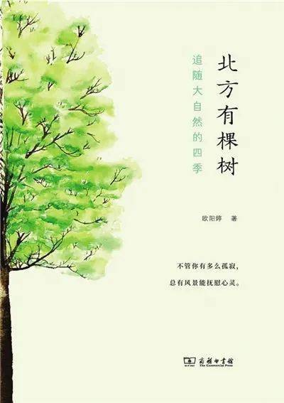 记忆|用12本书帮你记录2021，新京报年度阅读推荐