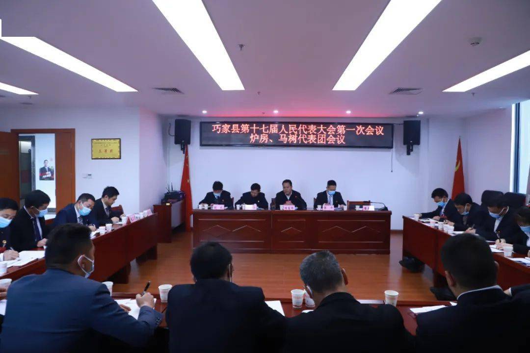 陈富华参加炉房马树代表团审议审查_工作_巧家县_会议