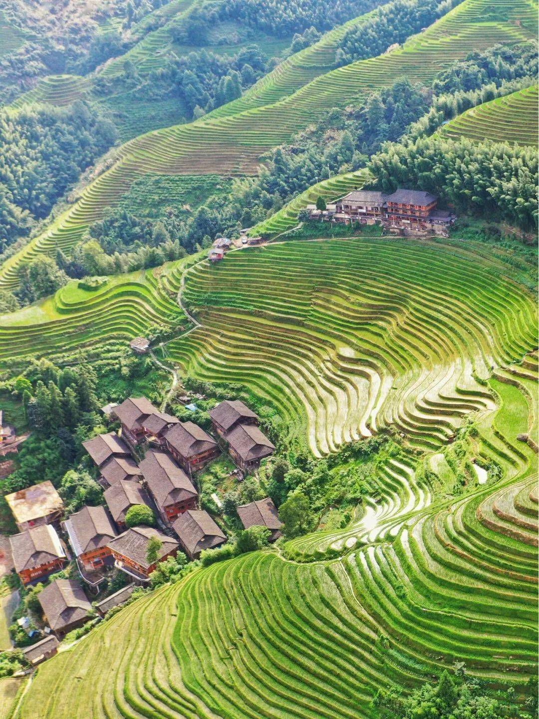 中国梯田,到底有多美?这50张图片就是最好的答案!_上堡_云和县_横屏