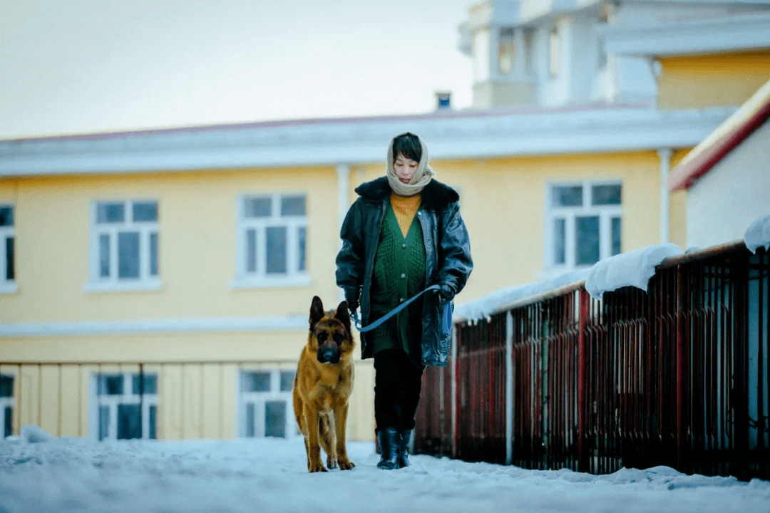 鹤岗|《东北虎》和“便衣导演”耿军的鹤岗宇宙