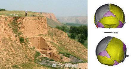 古人类的脑容量比我还大