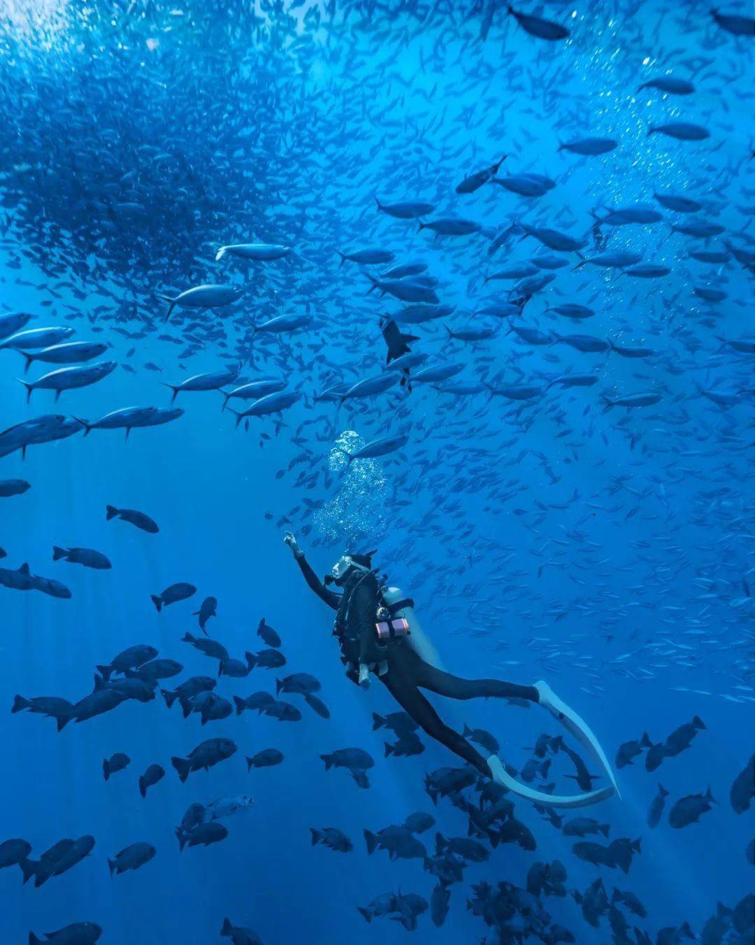 北纬18的东方夏威夷海清沙白人间天堂