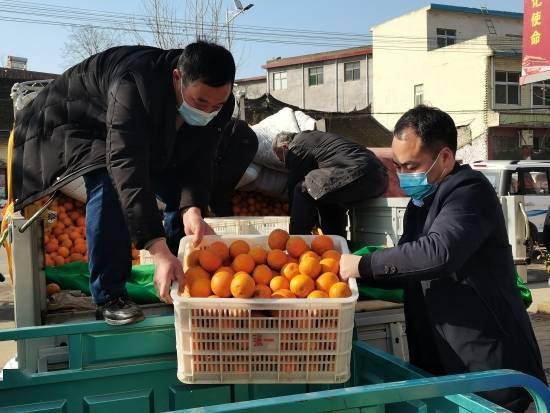 郏县:镇村干部"跨界"帮村民卖水果_冯运方_橙子_长桥镇