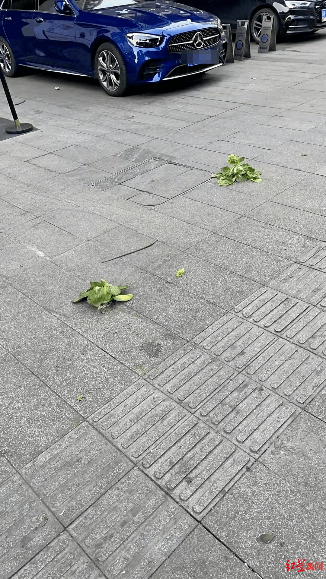 又见小区高空抛物 扔了十多分钟幸未伤人 警方调查 肇事者系一群 熊孩子