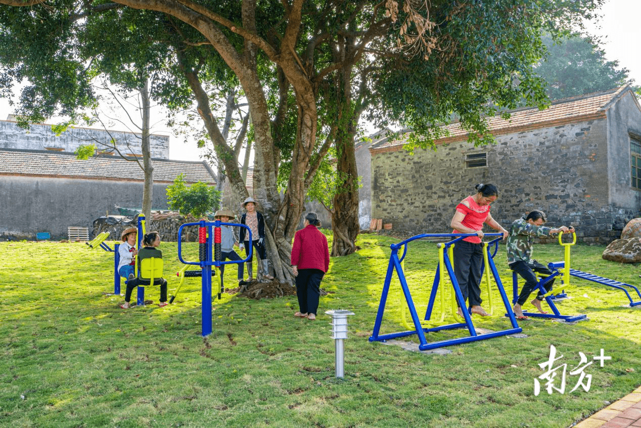 经开区硇洲镇:"四小园"点缀绿色画卷,全力描绘乡村振兴蓝图_公园_村民