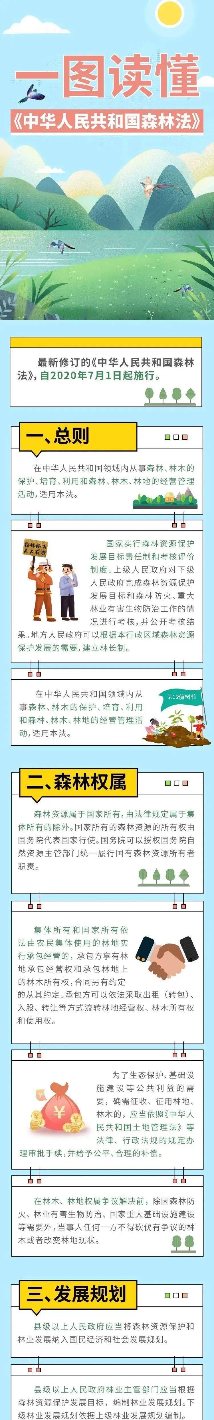 一图读懂中华人民共和国森林法