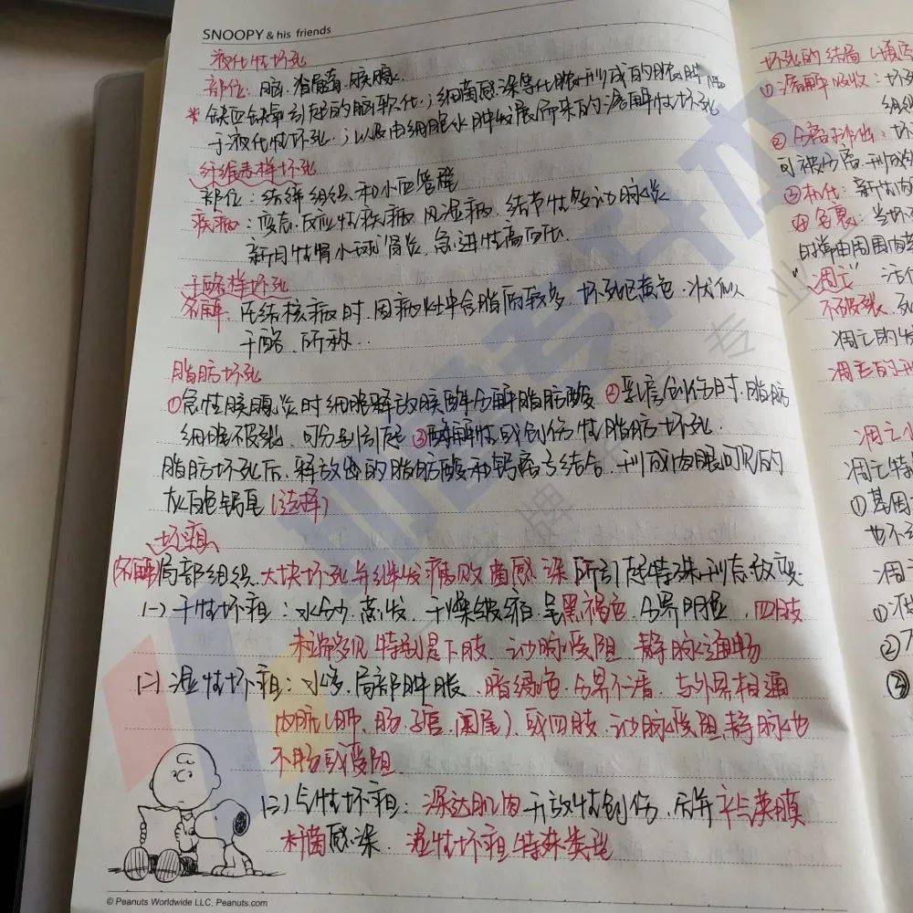 专升本宝藏记笔记攻略上岸学霸精心整理建议收藏