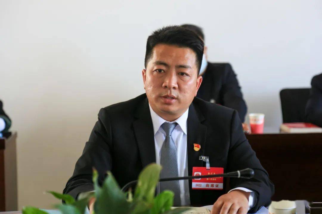 共谋发展 人大代表,政协委员讨论政府工作报告_盈江县_建设_防控