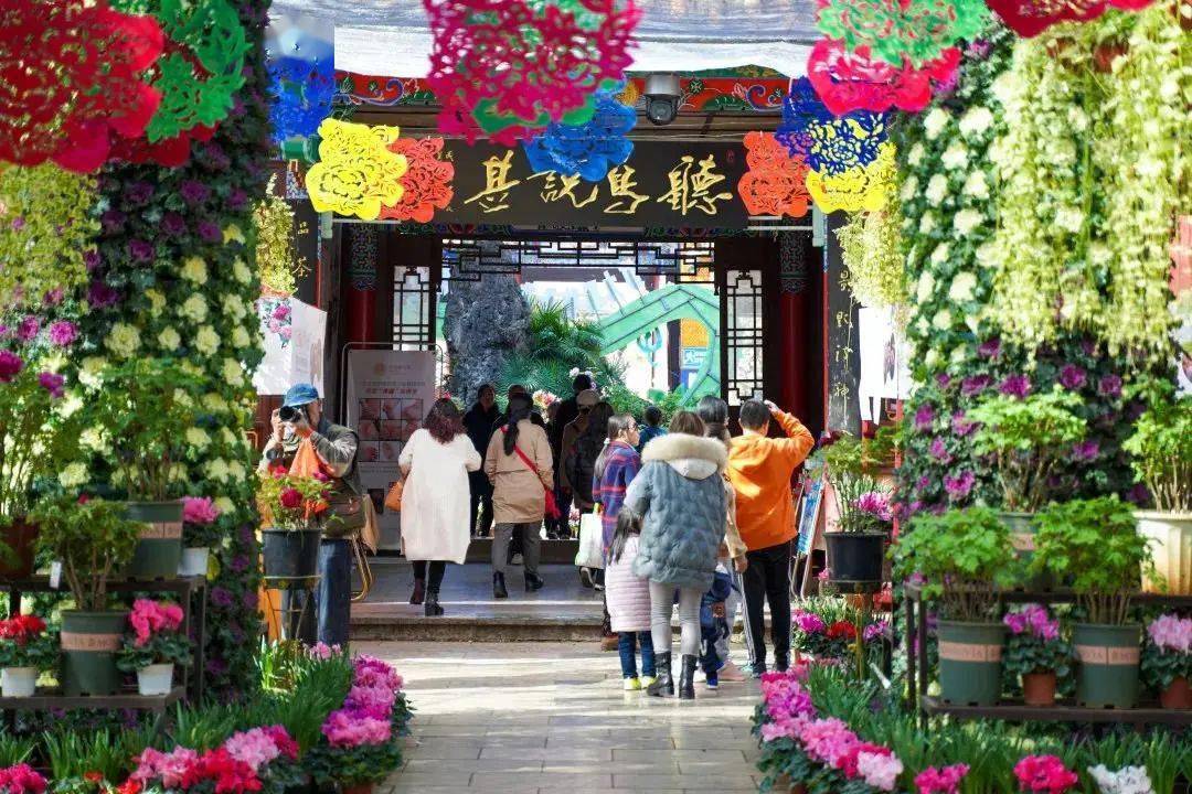 控制|妙手催开“富贵花”！昆明昙华寺公园牡丹将在春节如期盛放 | 昆明文旅动态