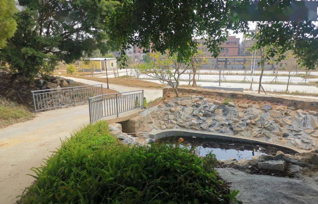 新春走基层67惠来县仙庵镇仙庵村废弃矿石场变身生态公园