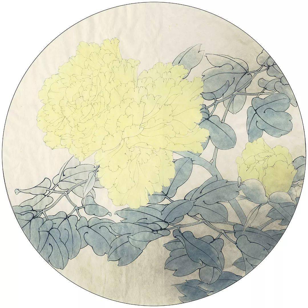 工笔牡丹 王者姚黄 的画法 含详细文字解析 昙花 花茎 花头