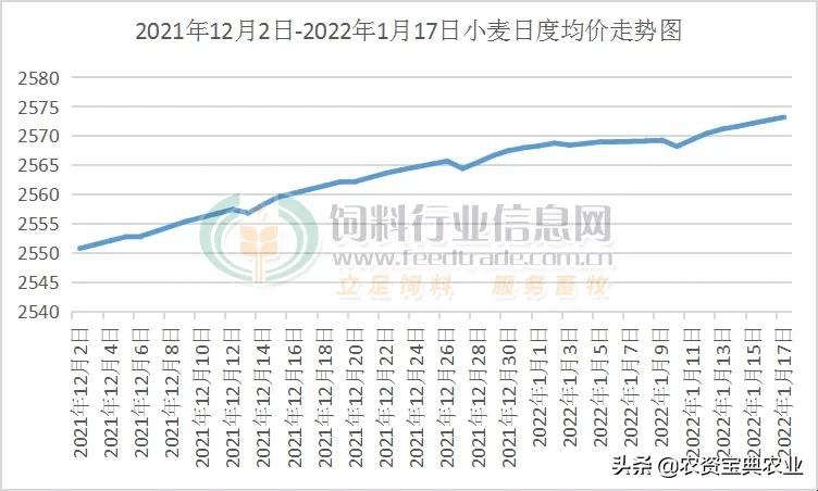 临储小麦持续投放市场,春节小麦价格将如何演绎?