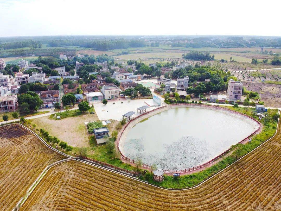 廉江乡镇人口_唯一一个中国最大的衬衣生产基地 广东GDP最高四大县级市(2)