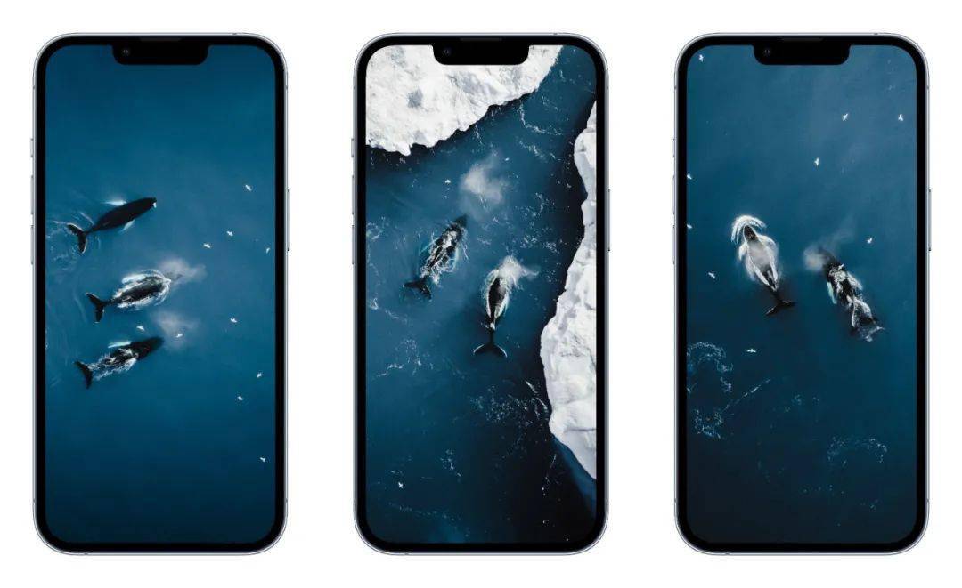 苹果智能手机出货量 2021 年登顶 / 微软 687 亿美元收购动视暴雪 / 星巴克上线美团外卖